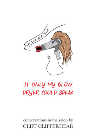 If Only My Blow Dryer Could Speak