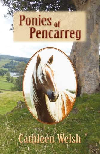 Ponies Of Pencarreg