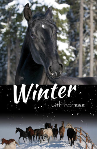 Winter With Horses