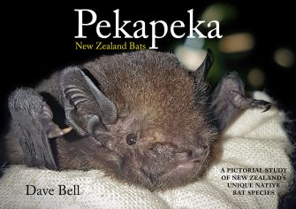 Pekapeka – New Zealand Bats