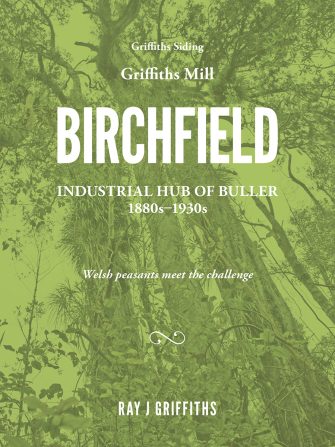 Birchfield: Industrial Hub Of Buller, 1880s–1930s
